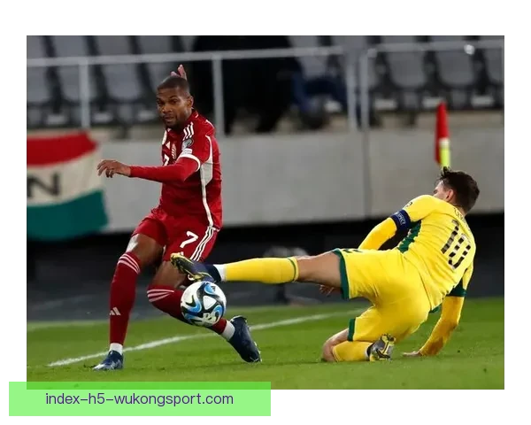 立陶宛足球甲级联赛精彩对决全程直播尽在这里